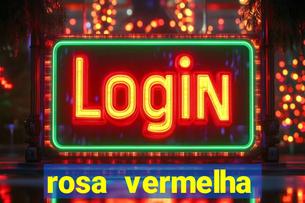 rosa vermelha (letra e cifra)